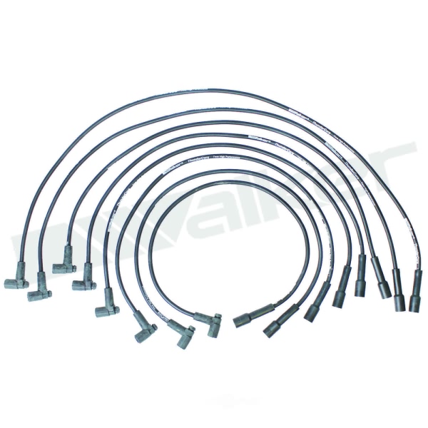 Walker Products Spark Plug Wire Set 924-1414