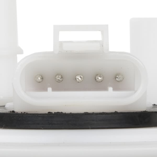 Delphi Fuel Pump Module Assembly FG0206