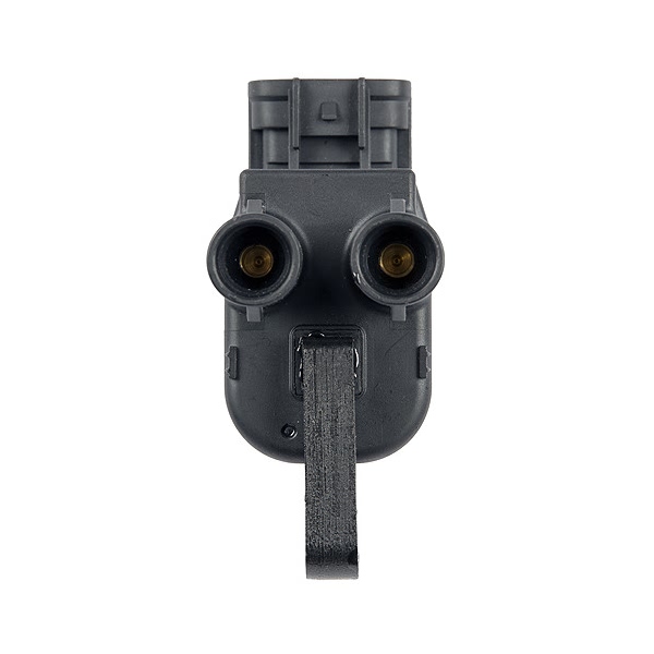 Delphi Ignition Coil GN10356