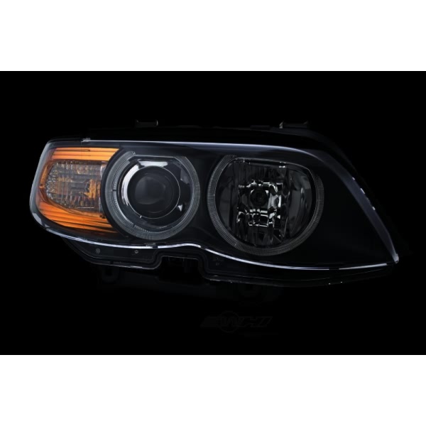Hella Headlight Assembly 224486241