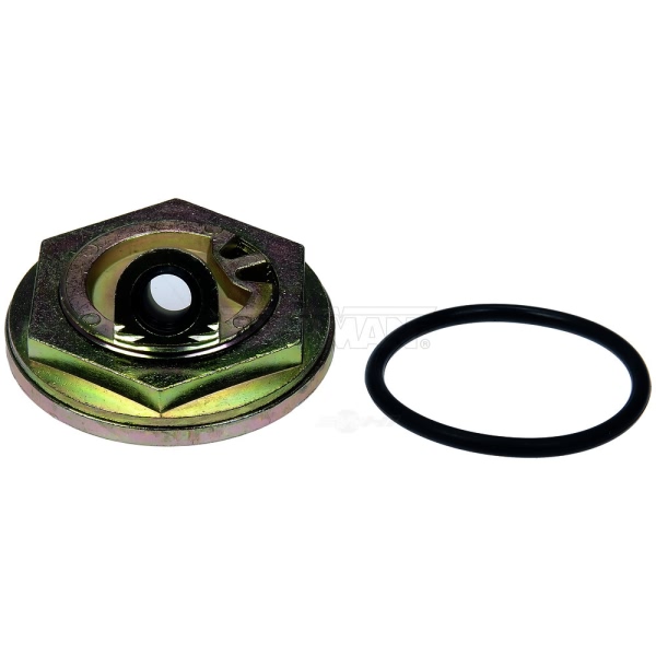 Dorman OE Solutions Oil Pan Dipstick Flange Kit 904-256