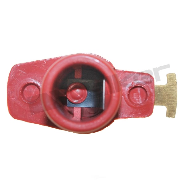 Walker Products Ignition Distributor Rotor 926-1041