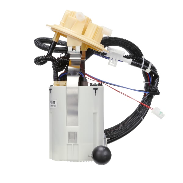 Delphi Fuel Pump Module Assembly FG1251