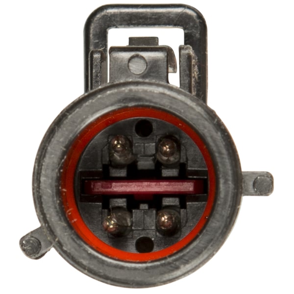 Delphi Fuel Pump Module Assembly FG1210