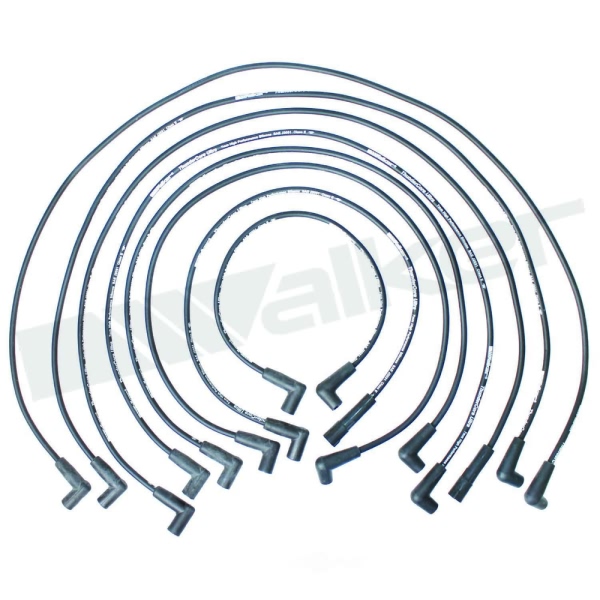 Walker Products Spark Plug Wire Set 924-1421