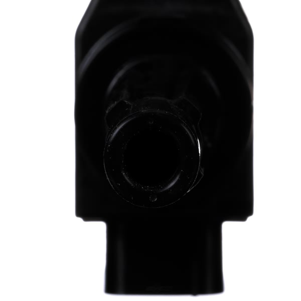 Delphi Ignition Coil GN10439