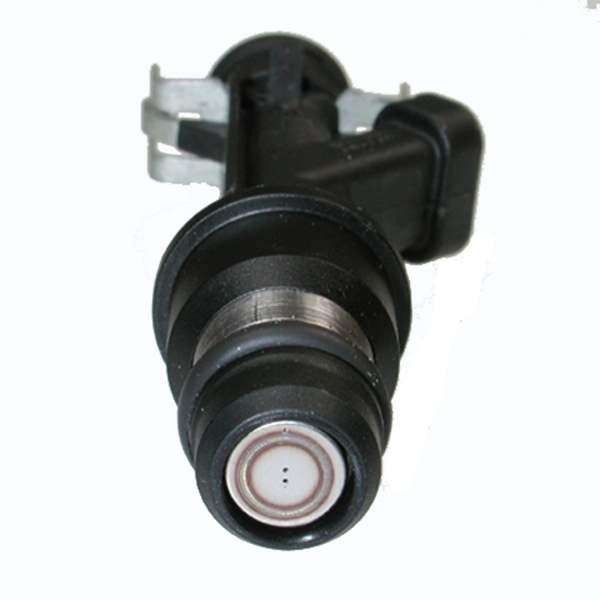 Delphi Fuel Injector FJ10066