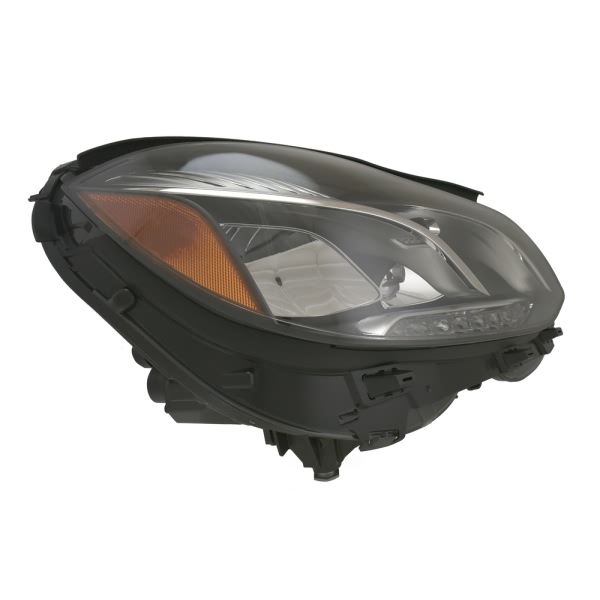 Hella Headlamp - Passenger Side 011066661