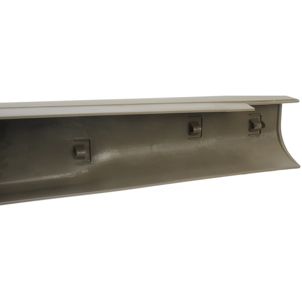 Dorman OE Solutions Tailgate Molding 925-613