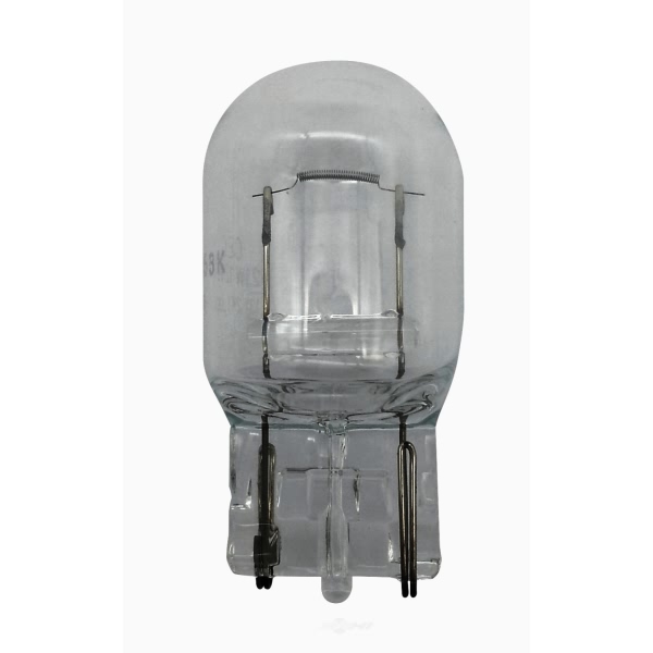 Hella 7440Tb Standard Series Incandescent Miniature Light Bulb 7440TB