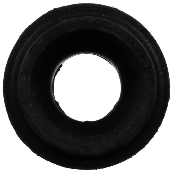 Delphi Front Outer Sway Bar Bushing TD4028W