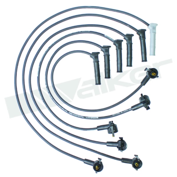 Walker Products Spark Plug Wire Set 924-2037
