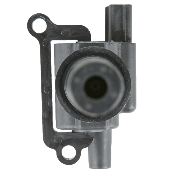 Delphi Ignition Coil GN10384