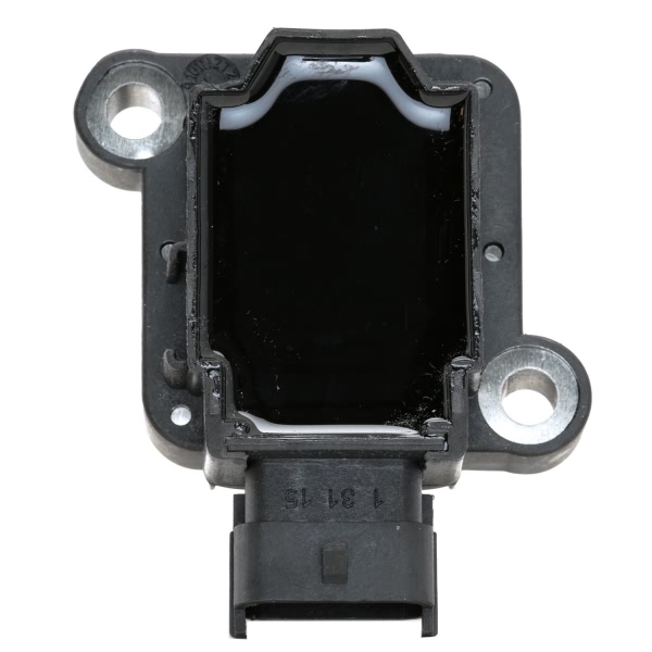 Delphi Ignition Coil GN10604