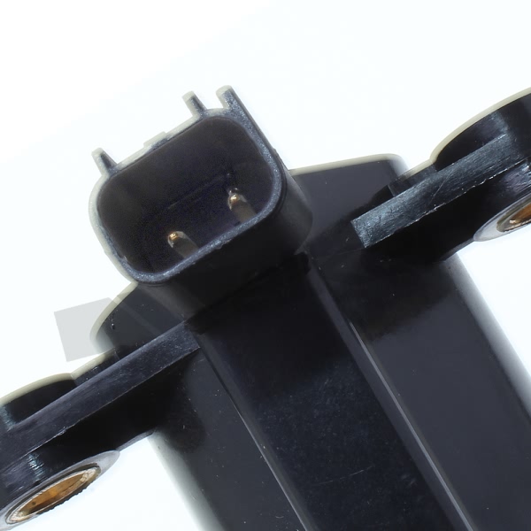 Walker Products Ignition Coil 921-2036