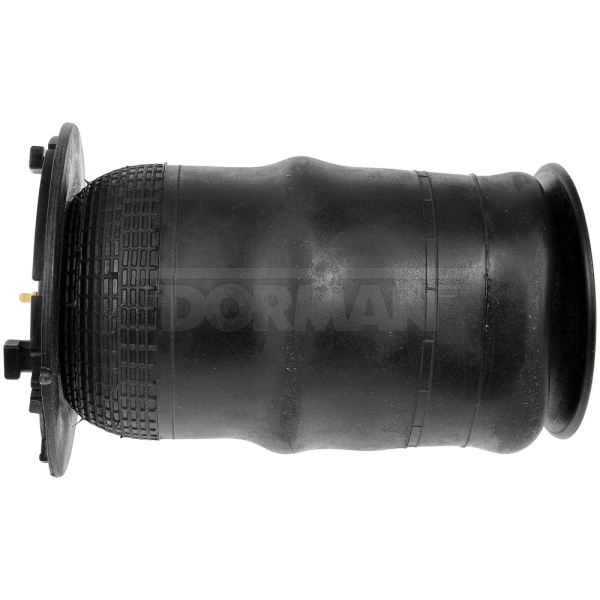 Dorman Rear Driver Or Passenger Side Air Suspension Spring 949-050