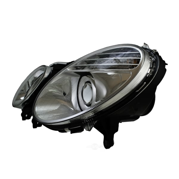 Hella Headlight Assembly 009260051