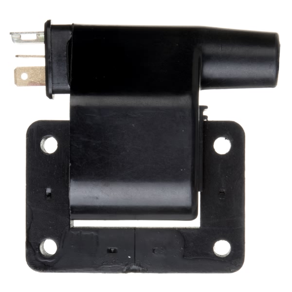 Delphi Ignition Coil GN10275