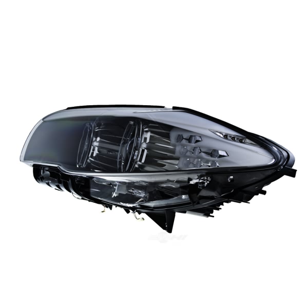 Hella Headlamp - Driver Side Xen 010131651