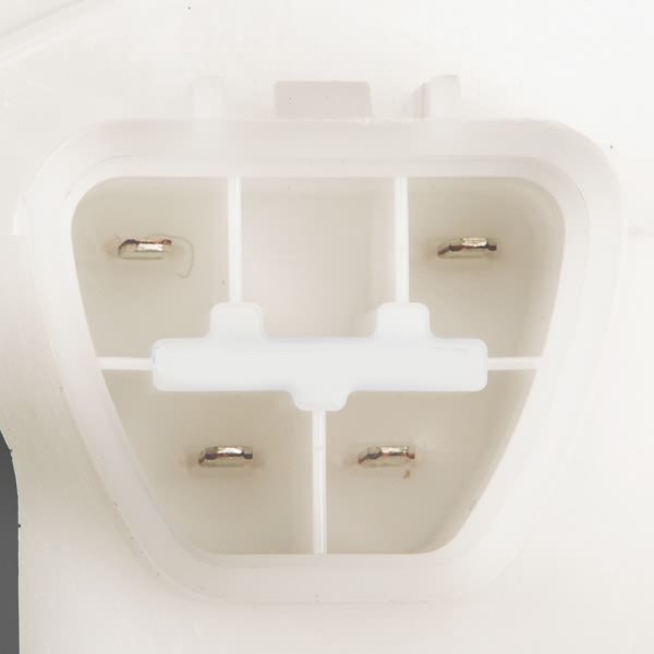 Delphi Fuel Pump Module Assembly FG1189