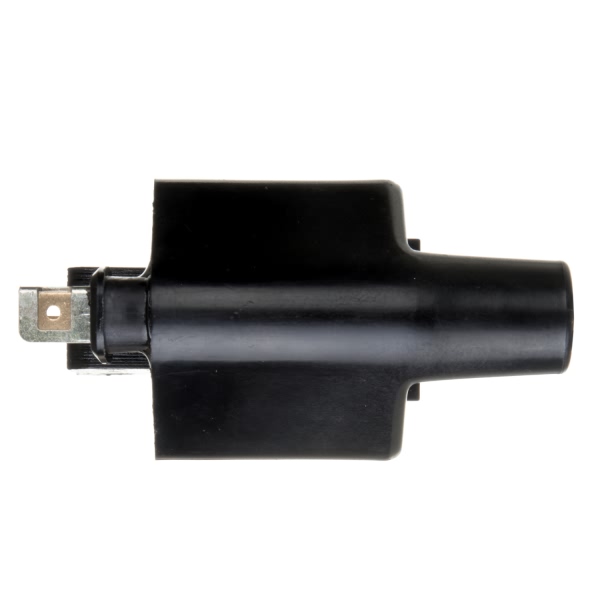 Delphi Ignition Coil GN10275