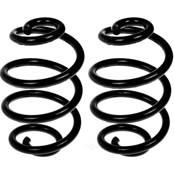 Dorman Rear Coil Springs 926-576