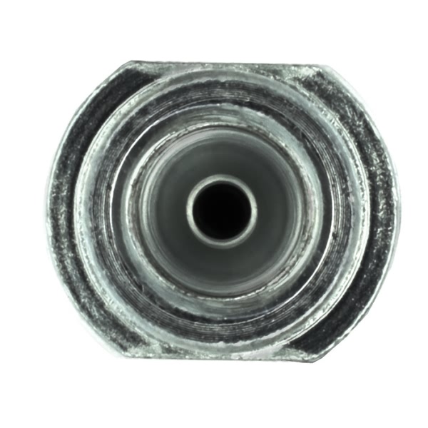 Centric Rear Passenger Side Upper Brake Hose 150.44437
