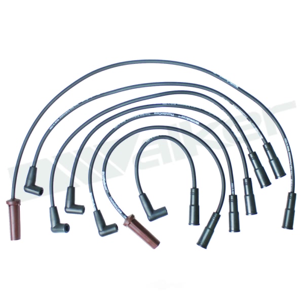 Walker Products Spark Plug Wire Set 924-1799