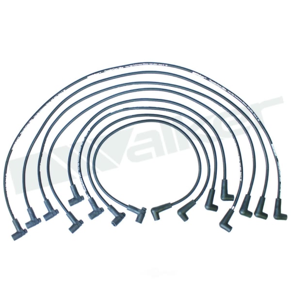 Walker Products Spark Plug Wire Set 924-1420