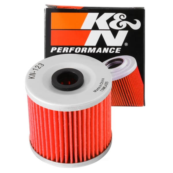 K&N Oil Filter KN-123
