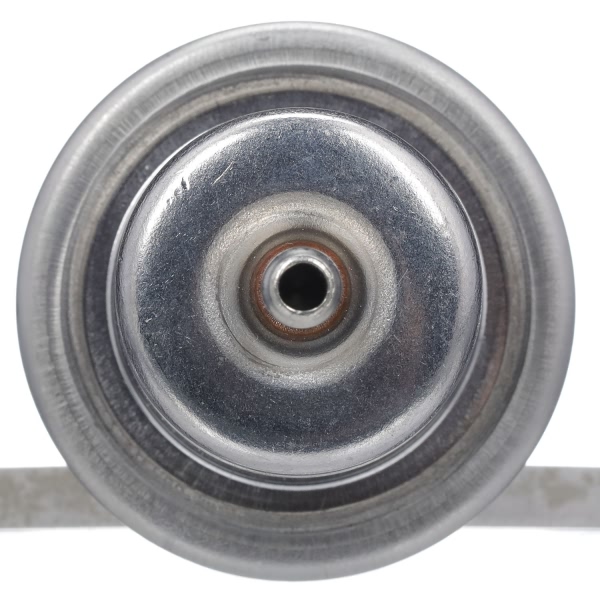 Delphi Fuel Injection Pressure Regulator FP10405