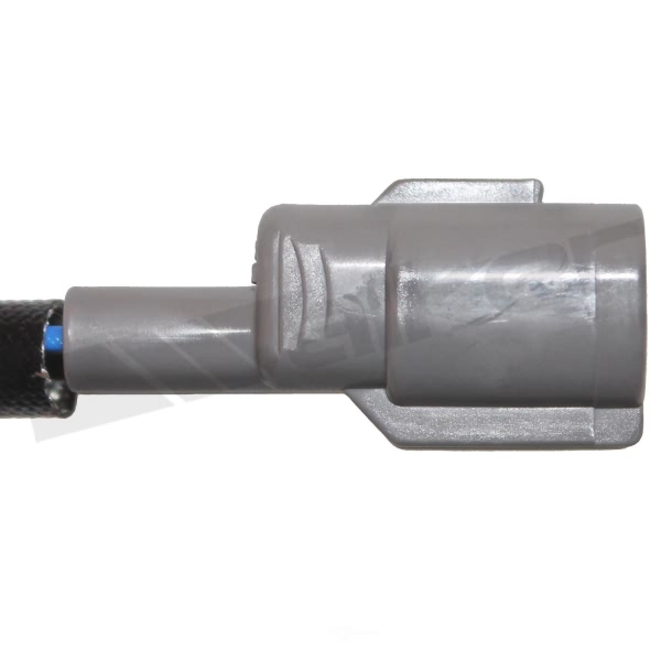 Walker Products Oxygen Sensor 350-32005