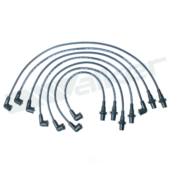 Walker Products Spark Plug Wire Set 924-1535