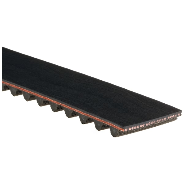 Gates Timing Belt T217