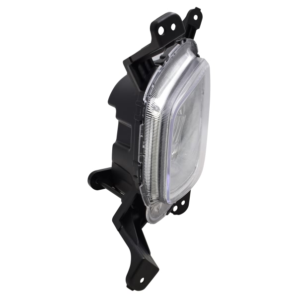 TYC TYC NSF Certified Fog Light Assembly 19-6128-00-1