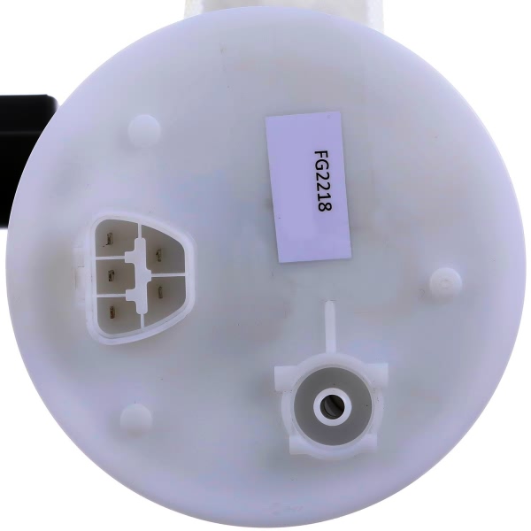 Delphi Fuel Pump Module Assembly FG2218