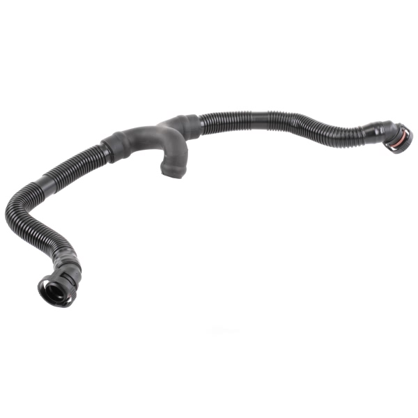 VAICO Crankcase Breather Hose V10-3696