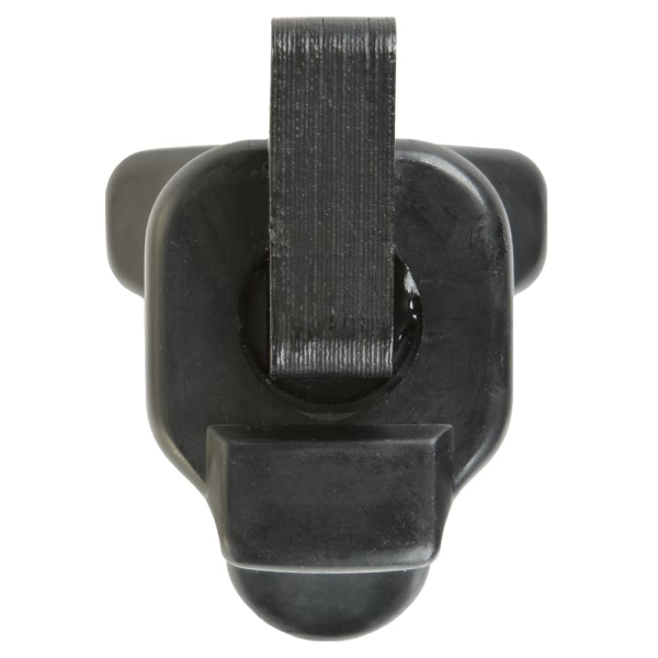 Delphi Ignition Coil GN10391