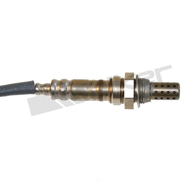 Walker Products Oxygen Sensor 350-341047