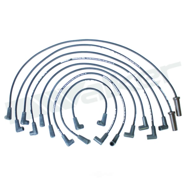Walker Products Spark Plug Wire Set 924-1438