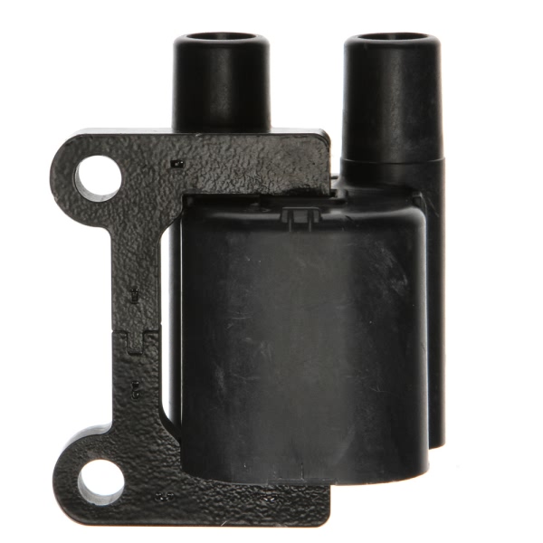 Delphi Ignition Coil GN10549