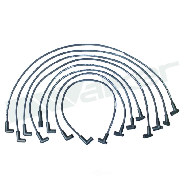 Walker Products Spark Plug Wire Set 924-1461