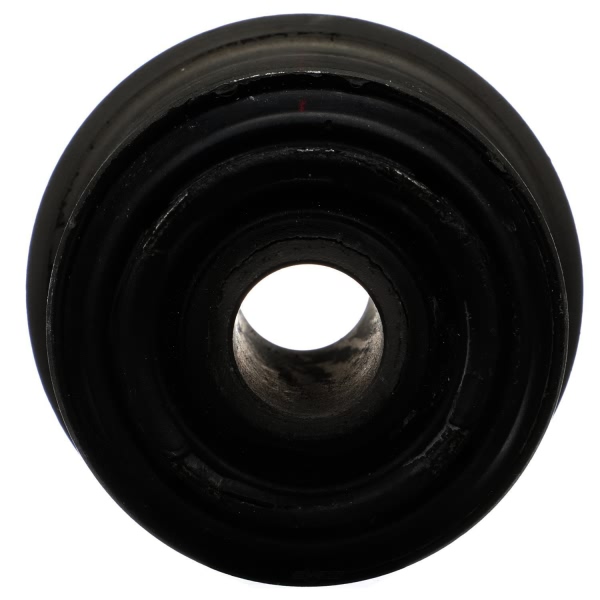 Delphi Front Lower Control Arm Bushings TD4001W