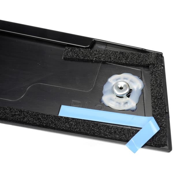Dorman OE Solutions Rear Driver Side Door Applique 926-245