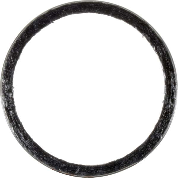 Victor Reinz Graphite And Metal Exhaust Pipe Flange Gasket 71-13619-00
