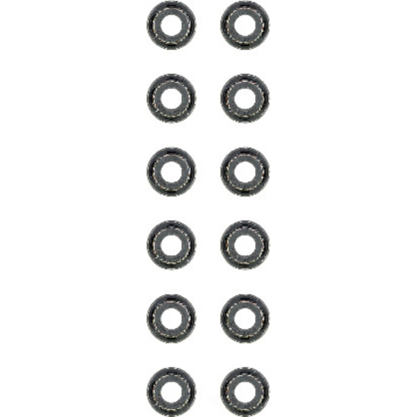 Victor Reinz Intake Exhaust Valve Stem Oil Seal Set 12-52748-03