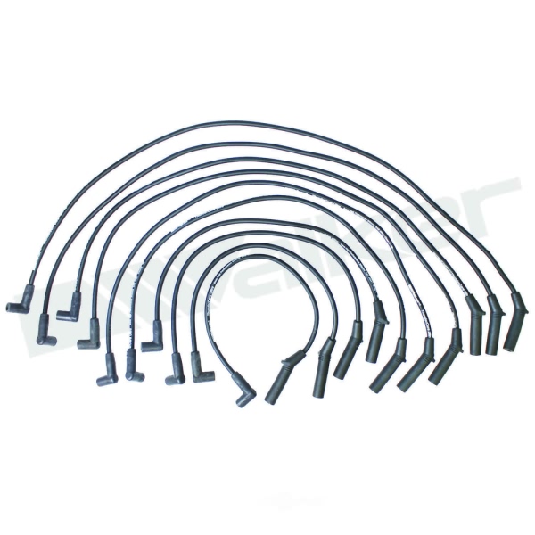 Walker Products Spark Plug Wire Set 924-1825