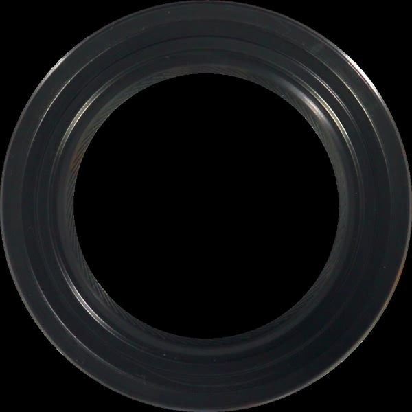 Victor Reinz Crankshaft Seal 81-21001-10