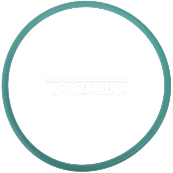 Dorman Fuel Pump Tank Seal 911-245