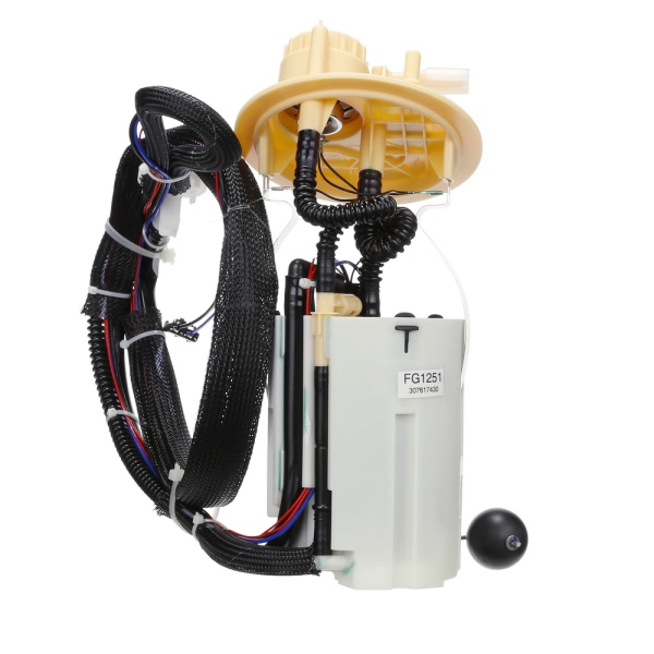 Delphi Fuel Pump Module Assembly FG1251